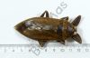 Lethocerus sp.